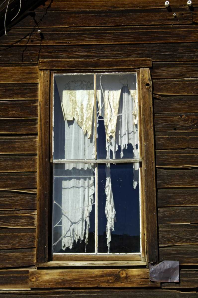 CA, Bodie SP, Tattered drapes hang in a window